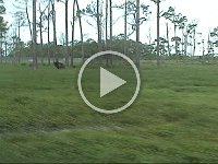 Untitled Clip 01 34